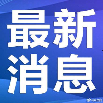 武汉法斗最新爆料,揭秘背后惊人真相
